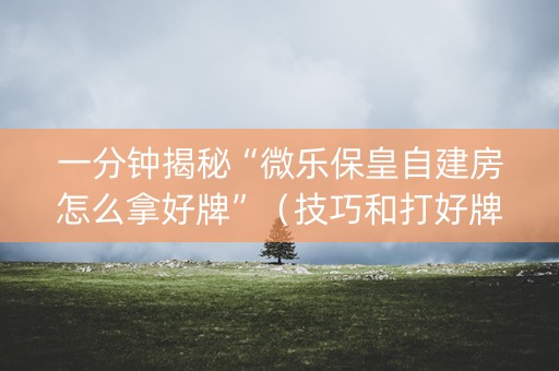 一分钟揭秘“微乐保皇自建房怎么拿好牌”（技巧和打好牌方法)