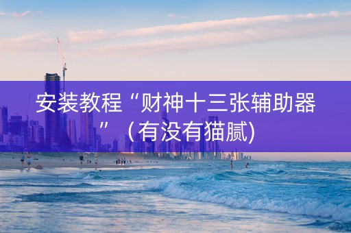 安装教程“财神十三张辅助器”（有没有猫腻)