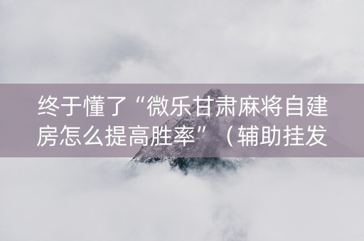 终于懂了“微乐甘肃麻将自建房怎么提高胜率”（辅助挂发牌规律)
