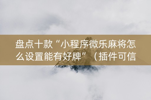 盘点十款“小程序微乐麻将怎么设置能有好牌”（插件可信吗)