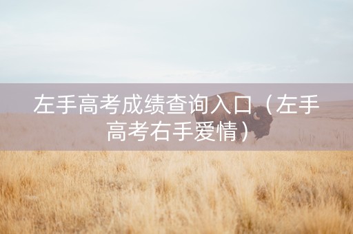 左手高考成绩查询入口（左手高考右手爱情）