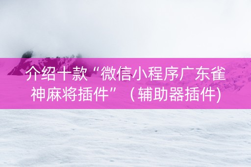 介绍十款“微信小程序广东雀神麻将插件”（辅助器插件)