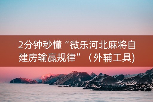 2分钟秒懂“微乐河北麻将自建房输赢规律”（外辅工具)