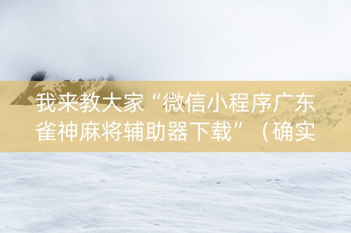 我来教大家“微信小程序广东雀神麻将辅助器下载”（确实有插件吗)