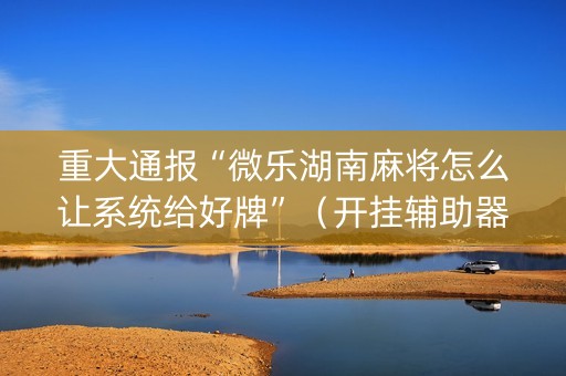 重大通报“微乐湖南麻将怎么让系统给好牌”（开挂辅助器插件)
