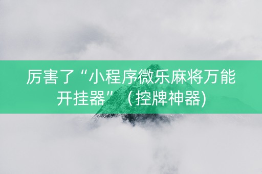 厉害了“小程序微乐麻将万能开挂器”（控牌神器)