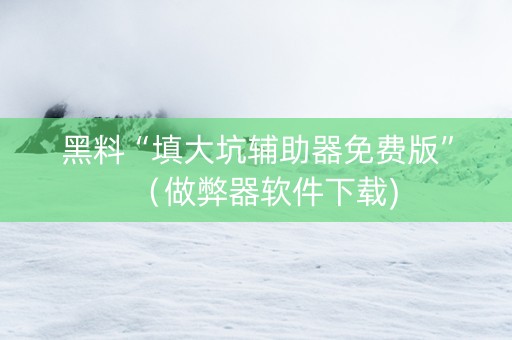 黑料“填大坑辅助器免费版”（做弊器软件下载)
