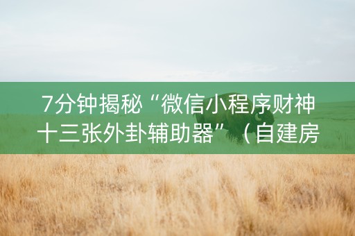 7分钟揭秘“微信小程序财神十三张外卦辅助器”（自建房怎么拿好牌)