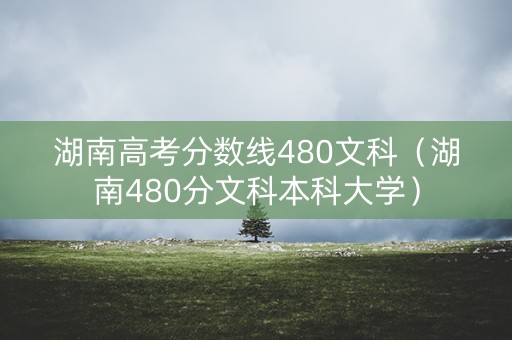 湖南高考分数线480文科（湖南480分文科本科大学）