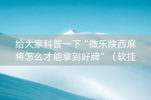 给大家科普一下“微乐陕西麻将怎么才能拿到好牌”（软挂神器)