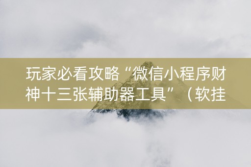 玩家必看攻略“微信小程序财神十三张辅助器工具”（软挂神器)