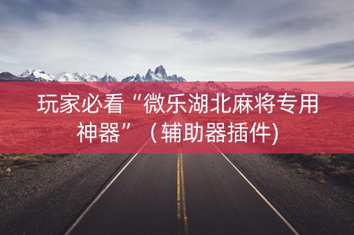 玩家必看“微乐湖北麻将专用神器”（辅助器插件)