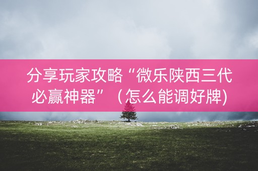 分享玩家攻略“微乐陕西三代必赢神器”（怎么能调好牌)