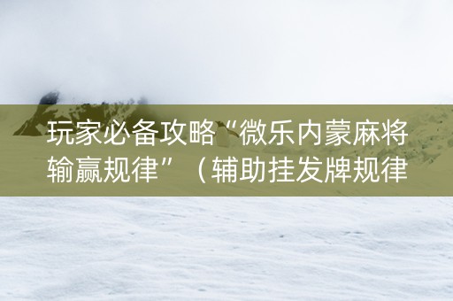 玩家必备攻略“微乐内蒙麻将输赢规律”（辅助挂发牌规律)