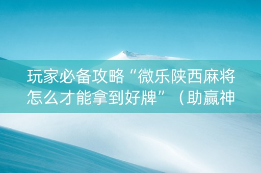 玩家必备攻略“微乐陕西麻将怎么才能拿到好牌”（助赢神器购买)