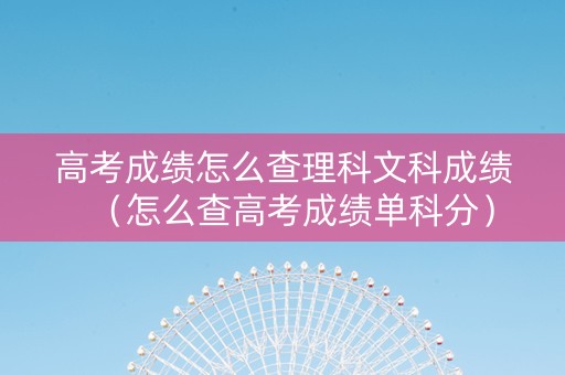 高考成绩怎么查理科文科成绩（怎么查高考成绩单科分）