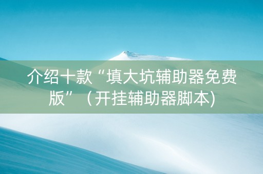 介绍十款“填大坑辅助器免费版”（开挂辅助器脚本)
