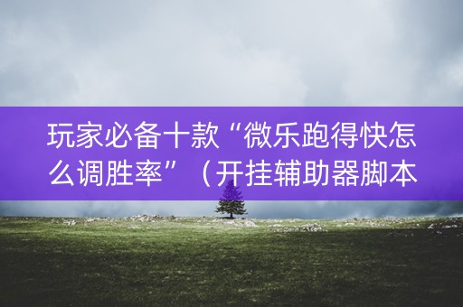 玩家必备十款“微乐跑得快怎么调胜率”（开挂辅助器脚本)