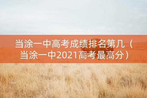当涂一中高考成绩排名第几（当涂一中2021高考最高分）