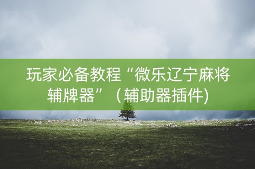 玩家必备教程“微乐辽宁麻将辅牌器”（辅助器插件)
