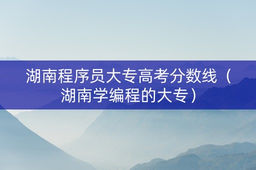 湖南程序员大专高考分数线（湖南学编程的大专）