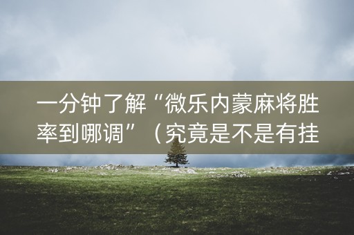 一分钟了解“微乐内蒙麻将胜率到哪调”（究竟是不是有挂)