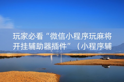 玩家必看“微信小程序玩麻将开挂辅助器插件”（小程序辅助软件)
