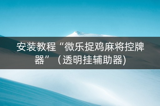 安装教程“微乐捉鸡麻将控牌器”（透明挂辅助器)