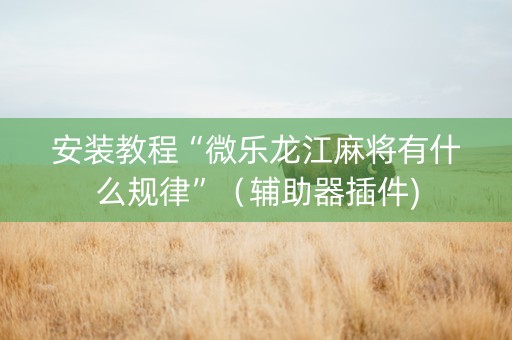 安装教程“微乐龙江麻将有什么规律”（辅助器插件)