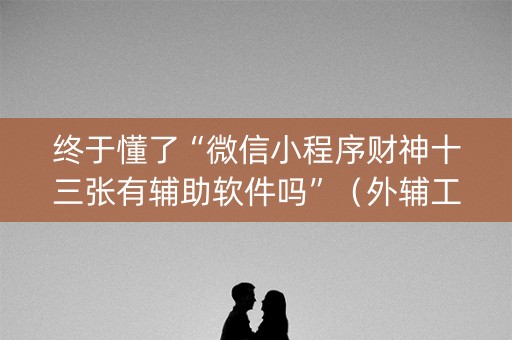 终于懂了“微信小程序财神十三张有辅助软件吗”（外辅工具)