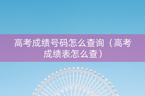 高考成绩号码怎么查询（高考成绩表怎么查）