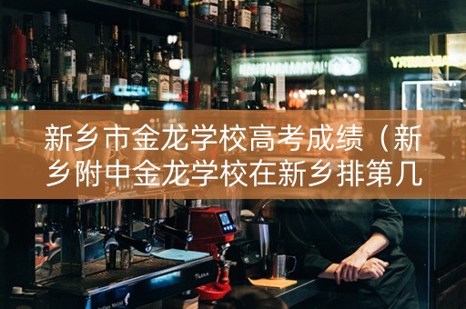 新乡市金龙学校高考成绩（新乡附中金龙学校在新乡排第几名）