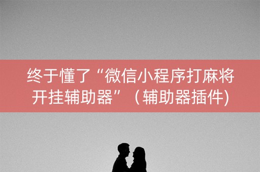 终于懂了“微信小程序打麻将开挂辅助器”（辅助器插件)