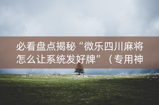 必看盘点揭秘“微乐四川麻将怎么让系统发好牌”（专用神器下载)