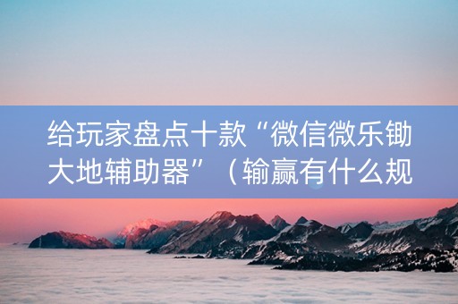 给玩家盘点十款“微信微乐锄大地辅助器”（输赢有什么规律)