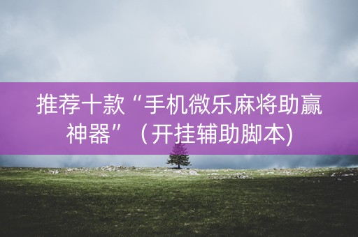 推荐十款“手机微乐麻将助赢神器”（开挂辅助脚本)