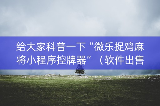 给大家科普一下“微乐捉鸡麻将小程序控牌器”（软件出售)