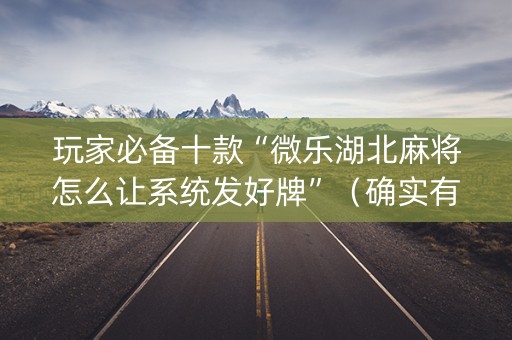 玩家必备十款“微乐湖北麻将怎么让系统发好牌”（确实有插件吗)
