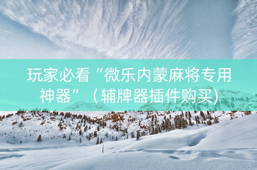 玩家必看“微乐内蒙麻将专用神器”（辅牌器插件购买)