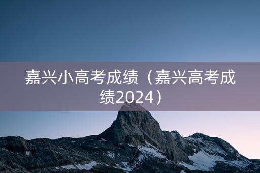 嘉兴小高考成绩（嘉兴高考成绩2024）