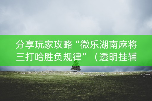 分享玩家攻略“微乐湖南麻将三打哈胜负规律”（透明挂辅助器)