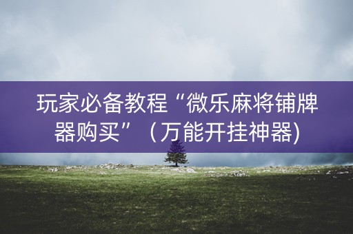 玩家必备教程“微乐麻将铺牌器购买”（万能开挂神器)