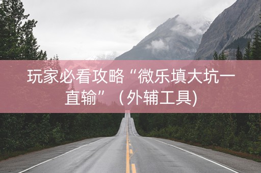 玩家必看攻略“微乐填大坑一直输”（外辅工具)
