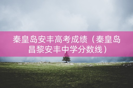 秦皇岛安丰高考成绩（秦皇岛昌黎安丰中学分数线）