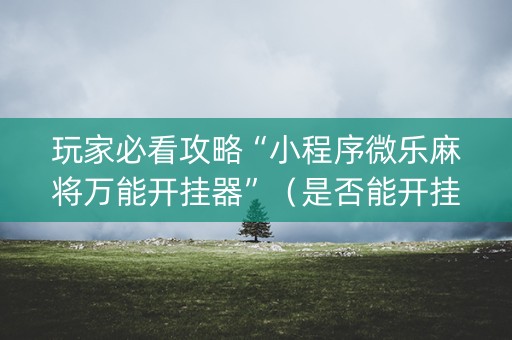 玩家必看攻略“小程序微乐麻将万能开挂器”（是否能开挂)