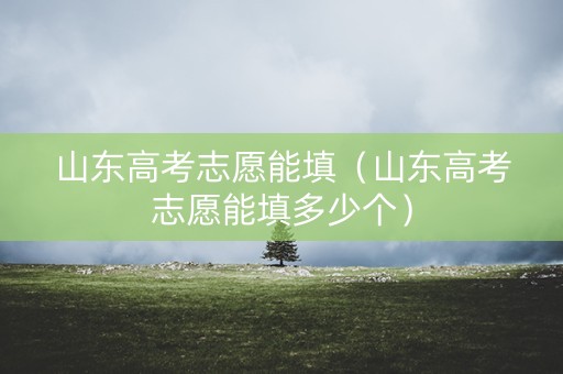 山东高考志愿能填（山东高考志愿能填多少个）