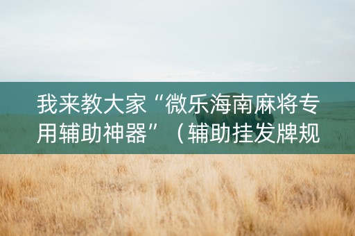 我来教大家“微乐海南麻将专用辅助神器”（辅助挂发牌规律)