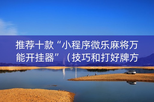 推荐十款“小程序微乐麻将万能开挂器”（技巧和打好牌方法)
