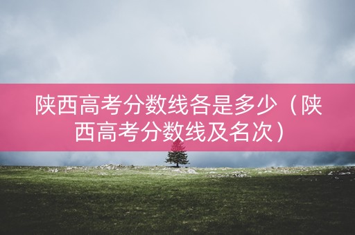 陕西高考分数线各是多少（陕西高考分数线及名次）