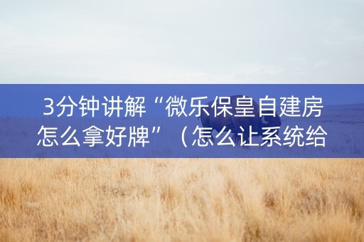 3分钟讲解“微乐保皇自建房怎么拿好牌”（怎么让系统给你发好牌)